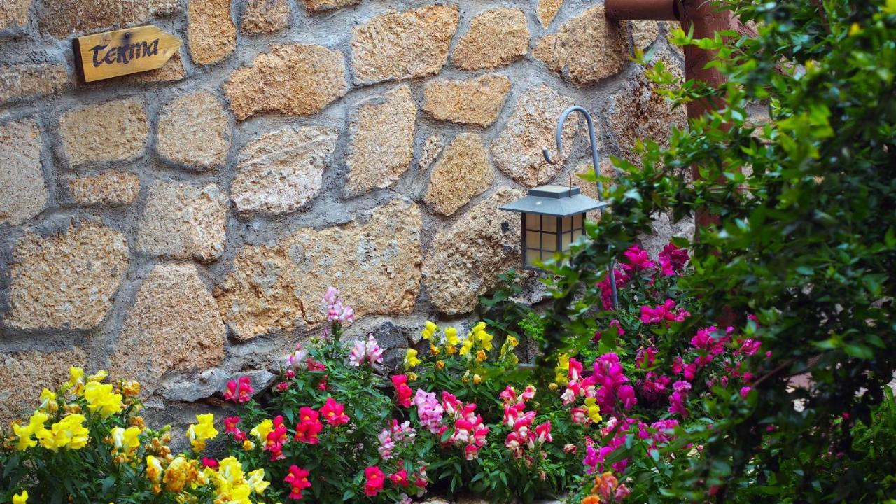 Hotel Rural San Miguel - Only Adults Сан Мигел де Абона Екстериор снимка
